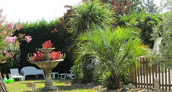 Gîte de chez Fourchaud : gîte avec terrasse entre Cognac & Saintes en Charente-Maritimes (17)